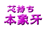 芯持ち本象牙